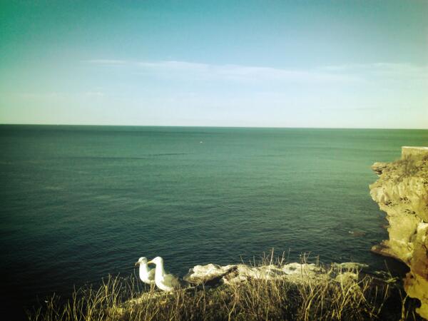 Fernandez_Bola's tweet photo. Mirar la costa bizkaina que solazoo viva la primabera y las jodidas faldas xd http://t.co/EhZPdVo8PI