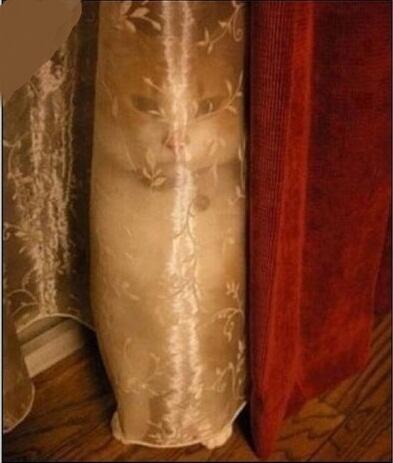 mrsal_sh3r's tweet photo. لا محد شافك يا حلو 😂😂 http://t.co/2eiATsKQK9