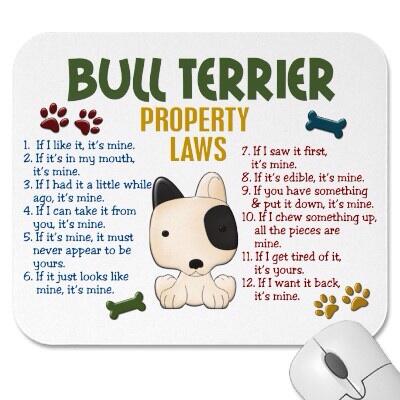 puppyfur44's tweet photo. Bull Terrier Property Laws http://t.co/PM65Xv1N6s
