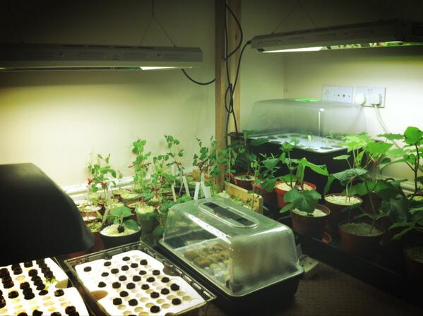 I'm slowly taking over the kids playroom!