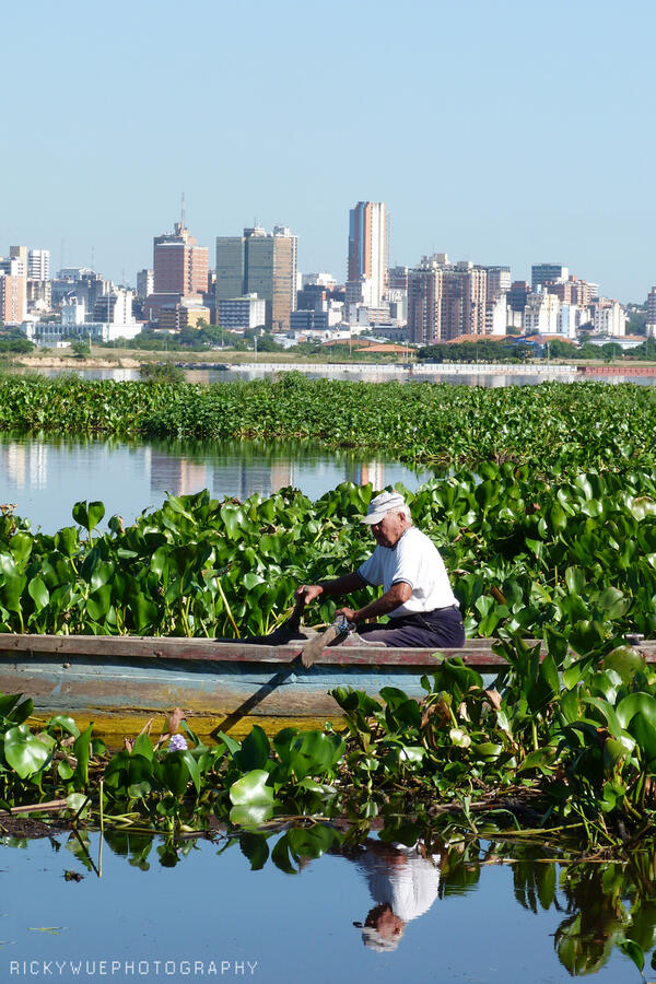 Ricardo Achucarro tweet media