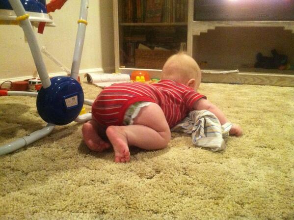 darcicoleauthor's tweet image. Oohh, the beginnings of mobility. He's getting there! #Ribbit #learningtocrawl