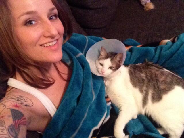 Cone kitty http://t.co/TWgxhQxLcP