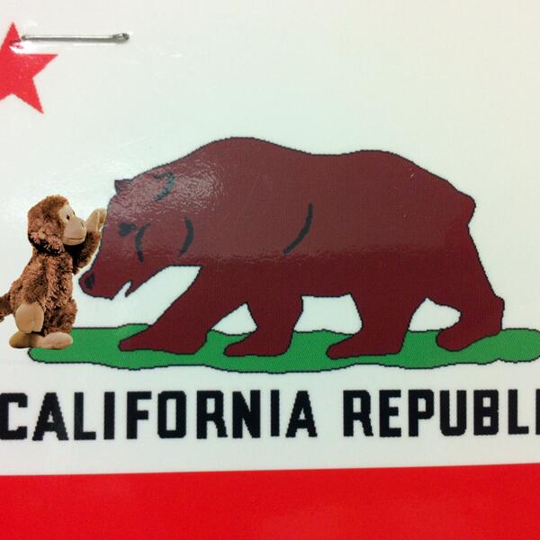 scubamyk's tweet photo. @Pleepleus not every monkey can make this claim http://t.co/ltOHAeuN2a