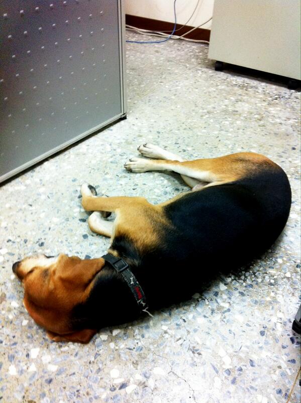 I'm...sleepy....wanna take a long nap like Kim jan! <a href="/ChengYu_Fang/">Yu_Fang</a>