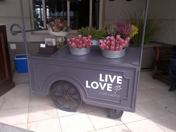 jenebarnes's tweet photo. RT @IlViaggioBiz: Live from #CapeTown: a touch of grace @CapeGrace @jenebarnes are you moving in with us http://t.co/9sG9UiE814