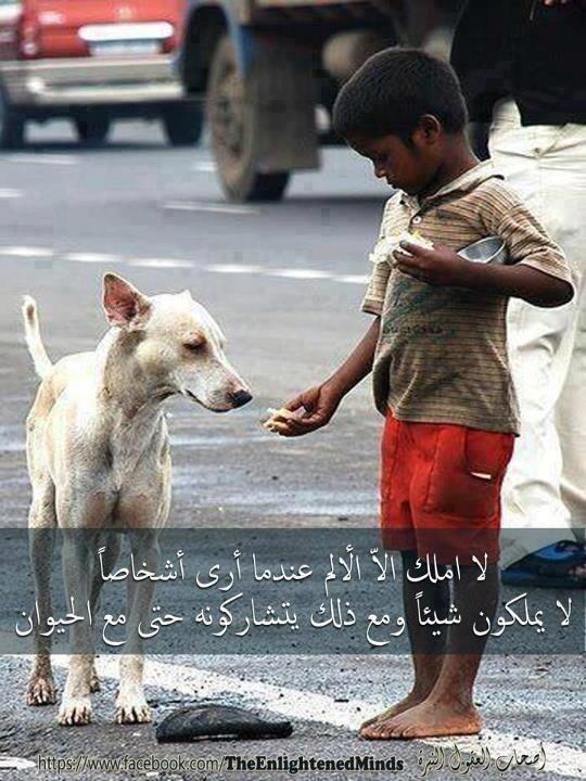alsalmina's tweet photo. http://t.co/HoDWChBuwS