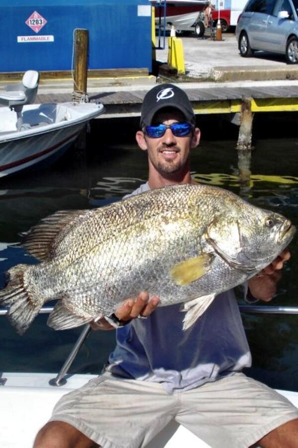 davidlwhite69's tweet photo. @kaulie59 You got ahold of one of these guys yet? Crab bouys!! Get em while their out!! Tripletail!! http://t.co/x6ThxMh8pG