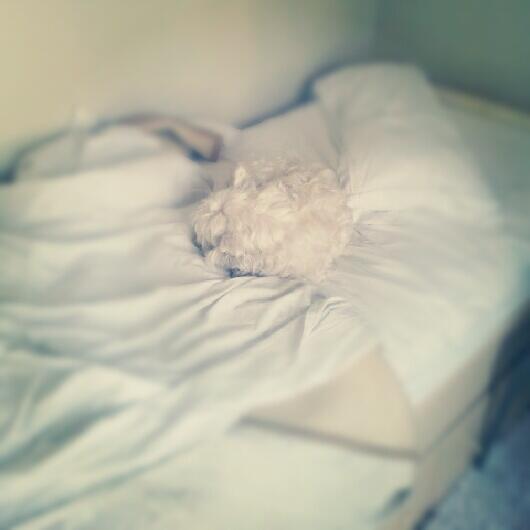 fischy93's tweet photo. Buenos días! Me se se uno que no se quiere levantar hoy... http://t.co/7FmvSsZZXa