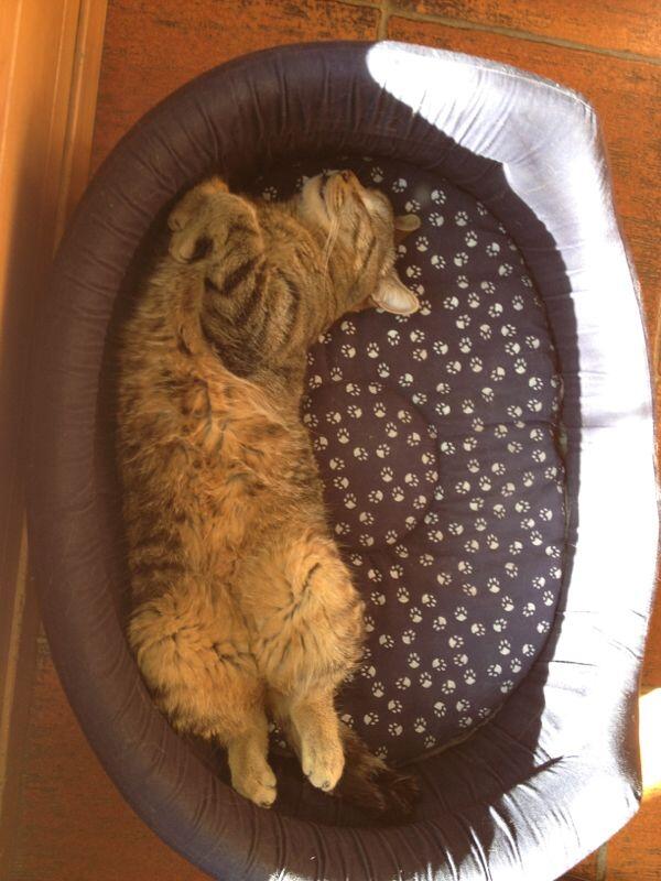 RubyTroger's tweet image. Enjoy your life