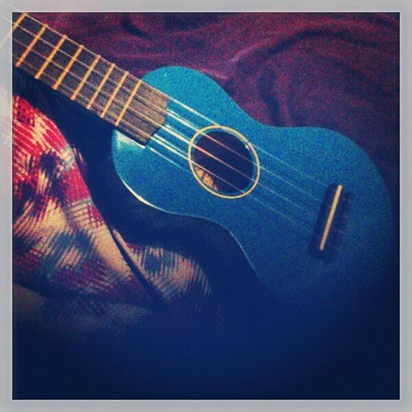 alicebendall's tweet image. So much procrastination available in this little guy... #strumit #comedygold