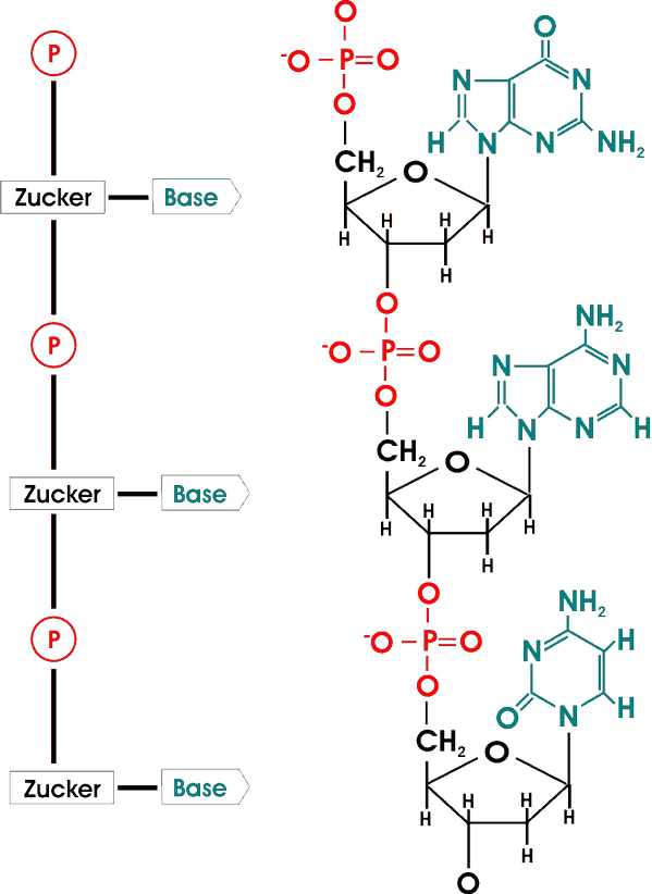 ipadkas4's tweet image. Ffkgtfko
Opjfceg