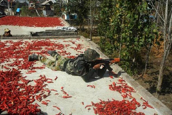 Hot Kashmiri Chillies!