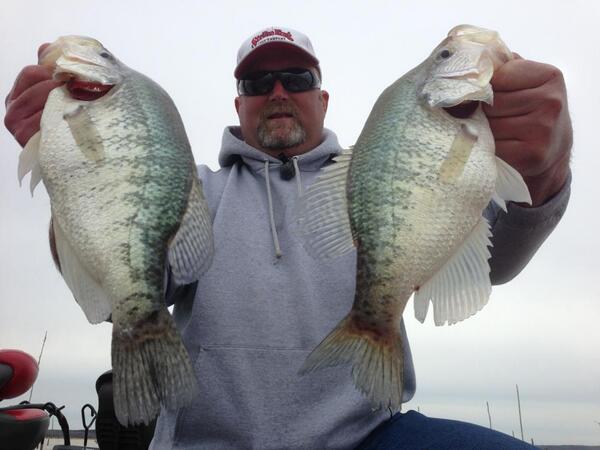 CrappiePros's tweet photo. Monsters out of Grenada Lake yesterday! #crappie #fishing #slab #crappiepro http://t.co/xH6BICp7cI