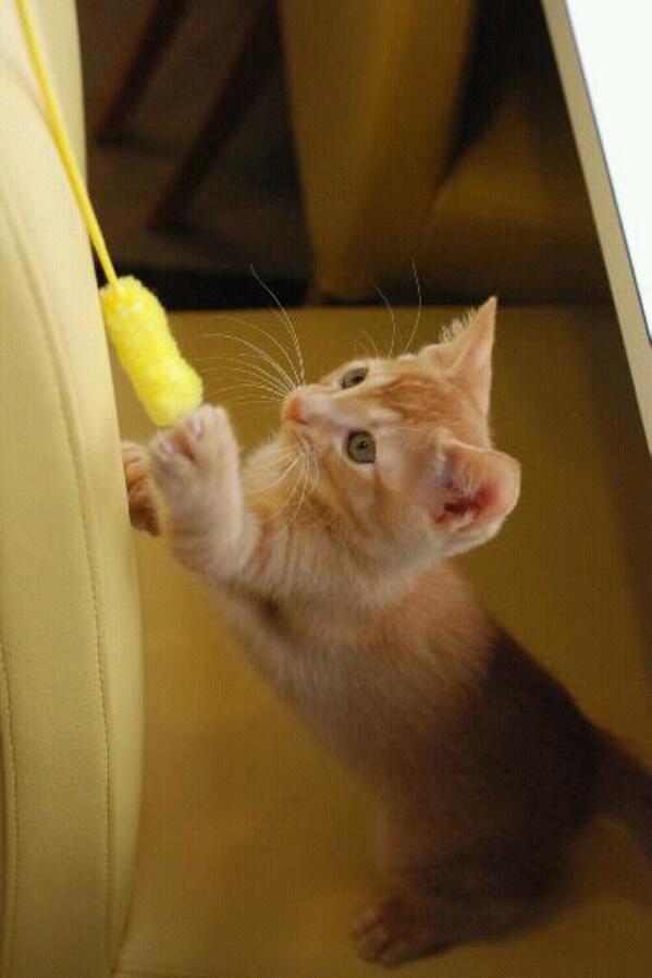 septi isnaeni (@septiisnaeni) on Twitter photo 