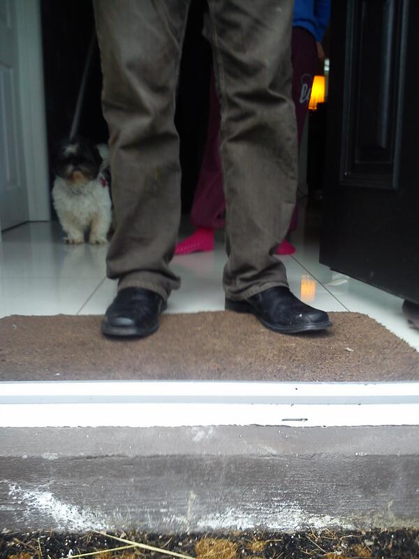 ChineseDoggy's tweet photo. Dad won't let me out to play , I don't understand these humans http://t.co/5S5zoRziwR