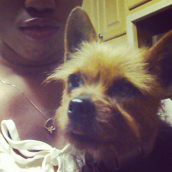 PrissyTye's tweet photo. My babe :-) http://t.co/WnQkQ8VQgi
