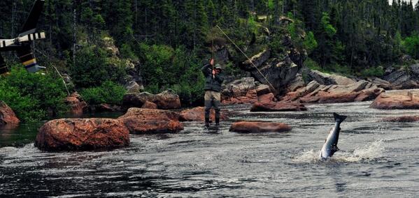 AtlanticRivers's tweet photo. Heli Atlantic salmon fishing in Labrador, Canada. Untamed, Untouched, Unbelievable. http://t.co/90T8xXqct4