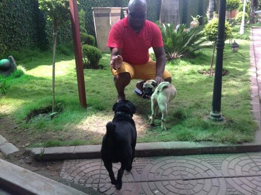 Francis Musaba (@francismusaba) on Twitter photo 