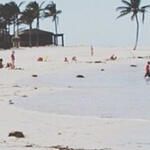 DreamyCody's tweet photo. 4 http://t.co/750meN0hVa
