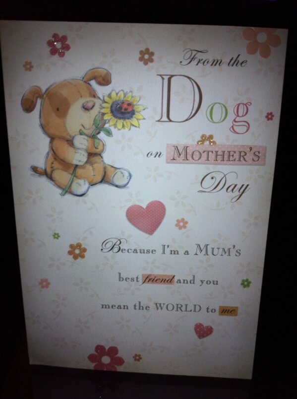 sam_f_23's tweet photo. The mystery card!! http://t.co/4rGNdrtlMP