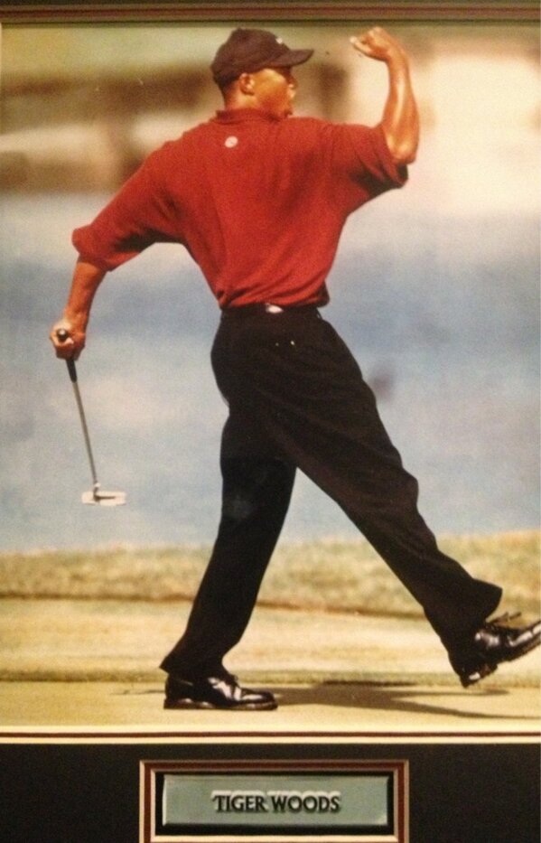 ReinhardPeter's tweet photo. Good job Tiger http://t.co/niqmdOy3Uv