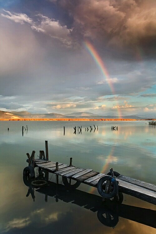 _AmazingPhotos's tweet photo. Nature at its best. http://t.co/dSncaeVfW9