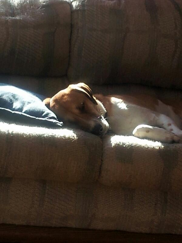 MenziesPI's tweet photo. @danaperino: they do have a personality don't they. http://t.co/Az4WtOX12h