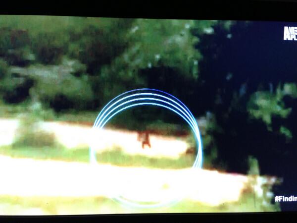 View image on Twitter View image on Twitter