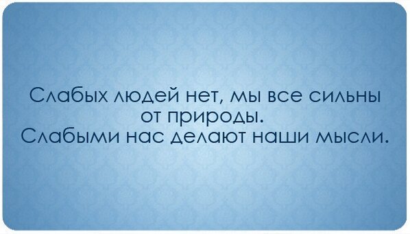 Kottova tweet picture