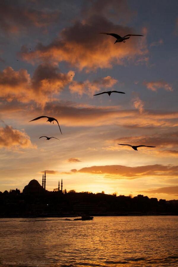 ATLASBALIK's tweet photo. Enerji depolayacağınız, mutlu bir hafta sonu diliyoruz... http://t.co/nLcAPnaBNS