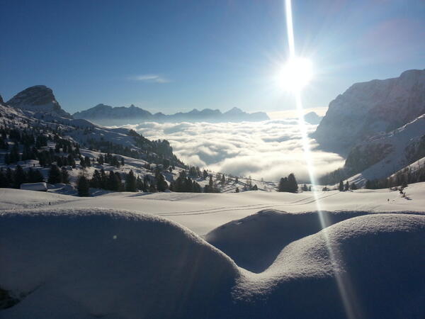 Denis Declara tweet media