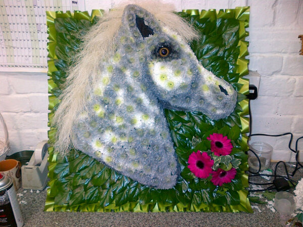 BIfloristry's tweet photo. Busy busy florist #horseshead #funeral #flowers http://t.co/H1XKFB4dtI