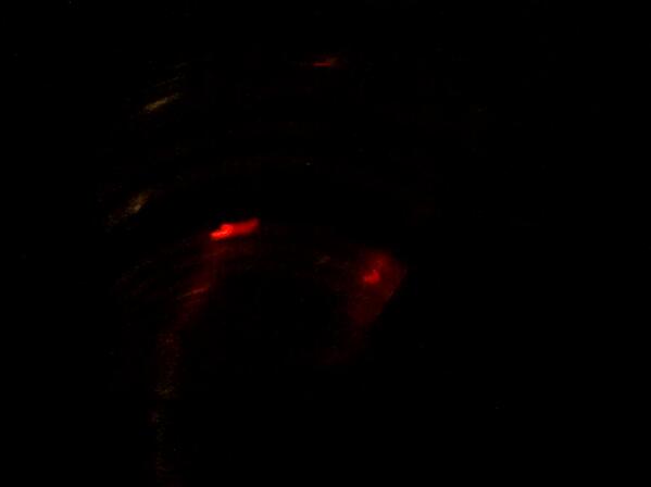 coco_studer's tweet photo. Das nennt man mal ein schwarzes Loch #loetschberg http://t.co/7kCHN3MoAo