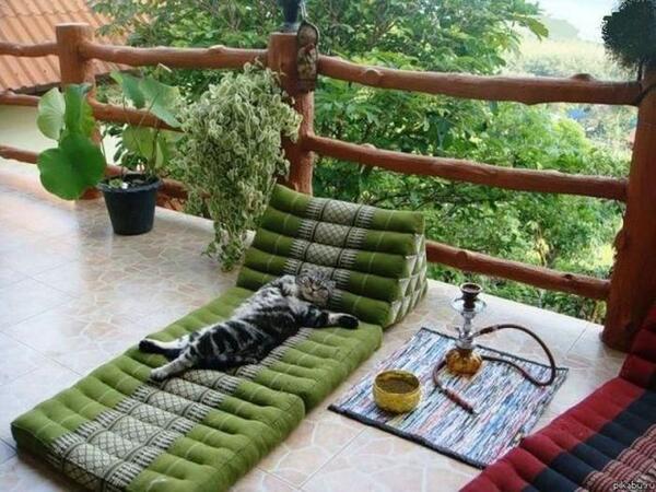 PostRussia's tweet image. отдыхать пора...