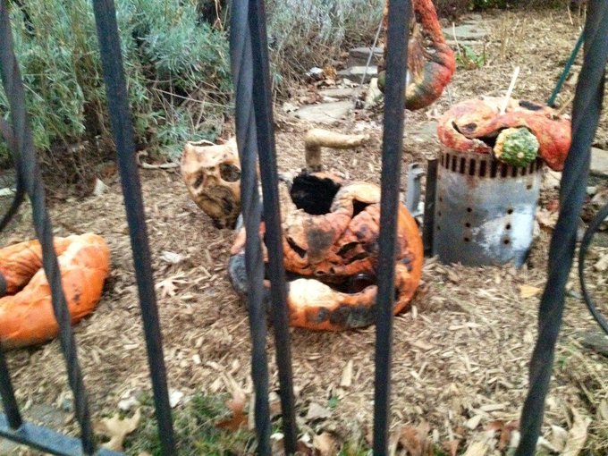 Dude,I think it's time to get rid of the jack-o-lanterns,unless "rotting disease" is the landscape you're<a href="/tag/playground"class="tags"><span>#playground</span></a>