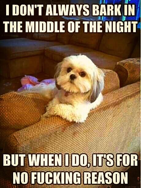 GavWonna's tweet image. @FrancescaM_87 #ThisIsSoTrue #Boogles