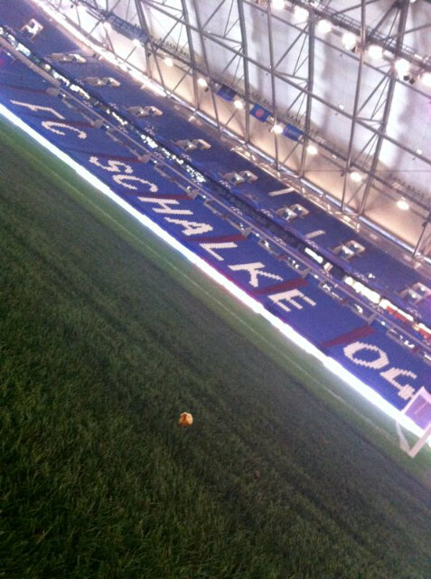 Ugur Comoglu (@ucomoglu) on Twitter photo Çim zemin de güzelmiş....
“<a href="/GalatasaraySK/">Galatasaray SK</a>: Info | Stadion Gelsenkirchen is ready for the game. #ChampionsLeague ” Çim zemin de güzelmiş....
“<a href="/GalatasaraySK/">Galatasaray SK</a>: Info | Stadion Gelsenkirchen is ready for the game. #ChampionsLeague ”