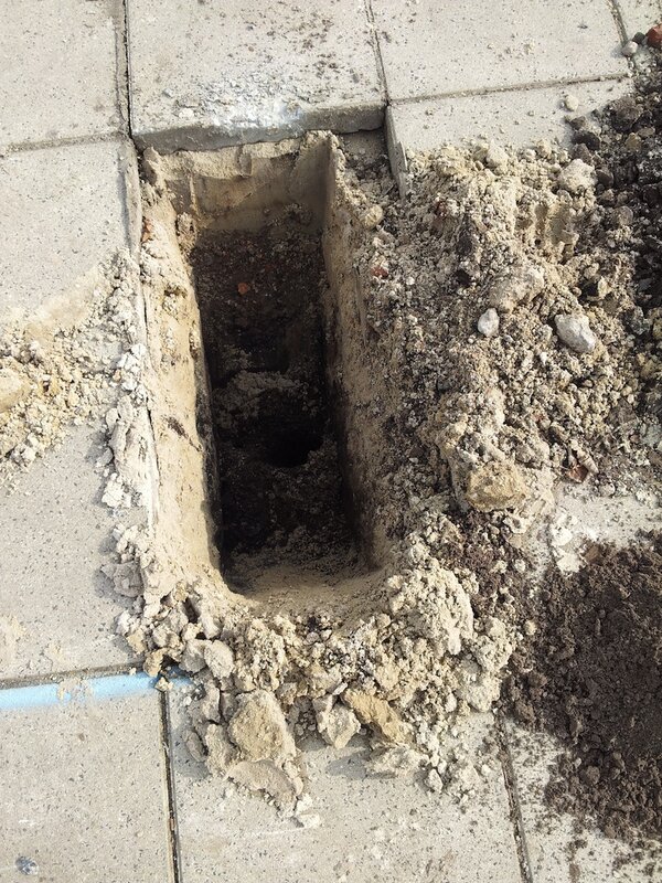 Beatrix College tweet media