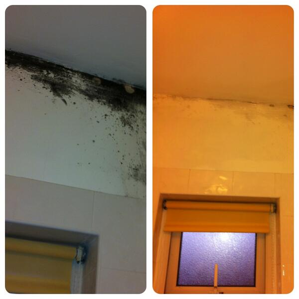 Kaylataylorf's tweet image. #ladyatwork if u ever come to sligo don't stay in Yeats fungus everywhere it's disgusting!!!!