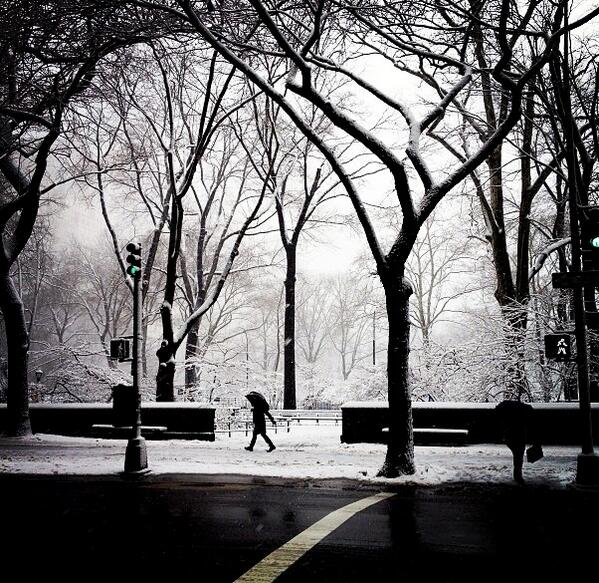 IPaganelli's tweet photo. Still snow in central park http://t.co/rmtMeVsVV2