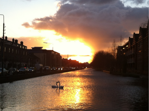 Photos of Ireland on Twitter: "Beautiful moment on the canal at Portobello,  Dublin, this evening. Picture by Sheila Larkin. (via @broadsheet_ie)  http://t.co/m9WchIiCec"