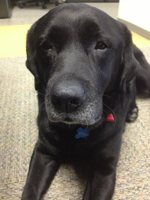 WashBizEvents tweet media