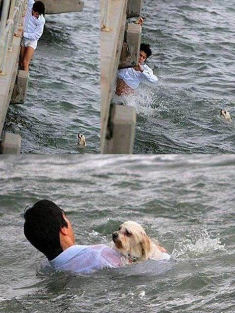 afowler15's tweet image. rt if u think he is a brave man who saved his pregnant drowning dog