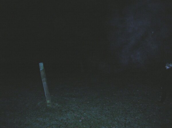 Night Crawlers..  tweet media