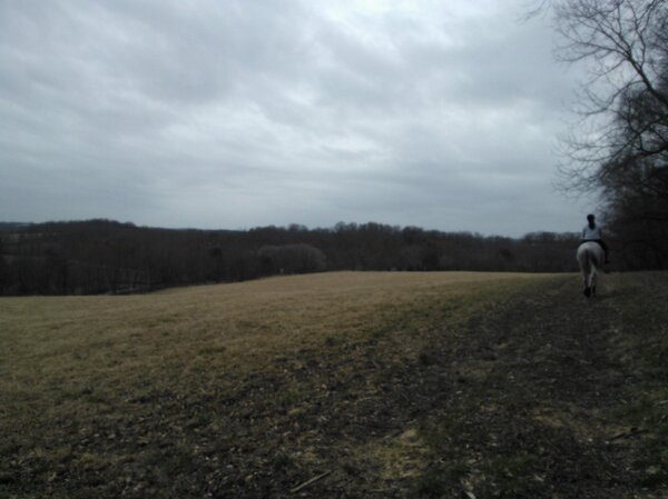 aliKat_niss's tweet photo. @nat_bat_ riding #Champ on a beautiful trail ! http://t.co/MztPPaKOMS