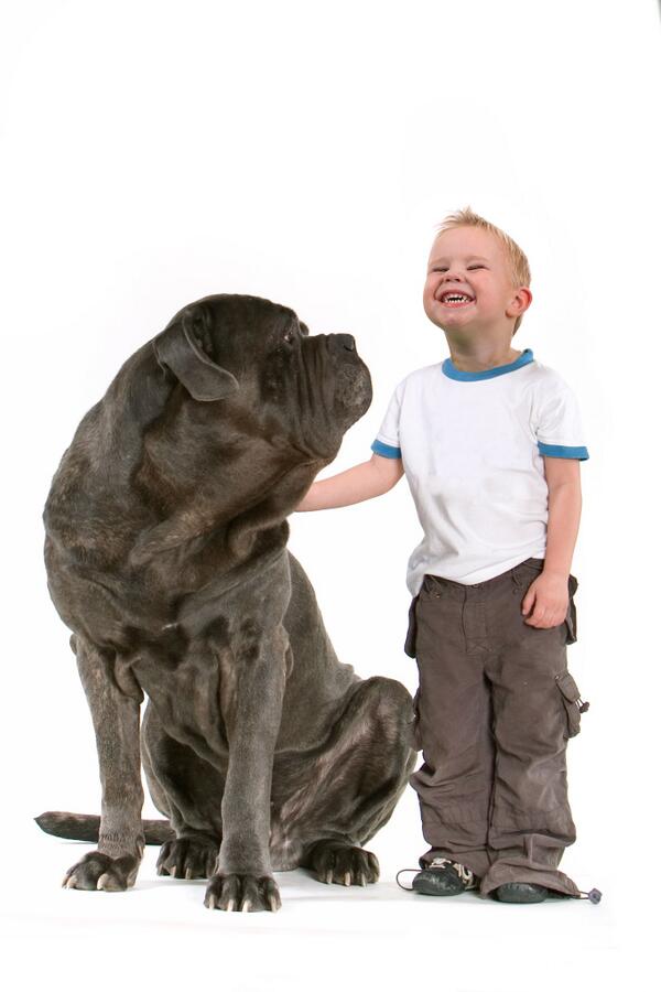 DogsCA's tweet image. Spend time this #MarchBreak with your loving family. #Dogs and #Family #Pets #Love