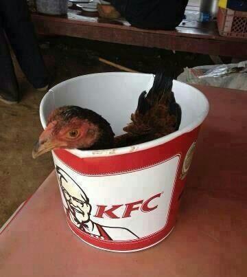 khusiary's tweet photo. Pagi tadi pergi "kfc"minta original dapat macm ni @nazila140480 @Oyun_Lee @penjaramalaysia http://t.co/JJEyADo7Wo