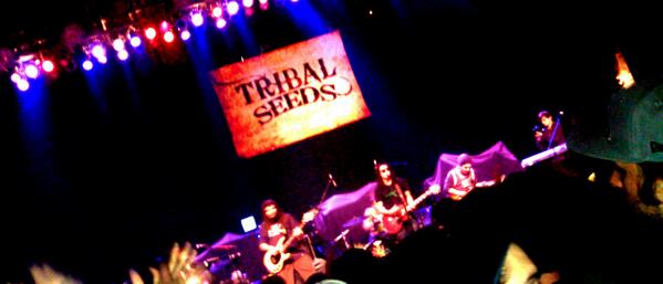 tirado_jacob12's tweet photo. @TribalSeeds went way to hard #inyoureyes #chicago http://t.co/fiCFcnJDZR