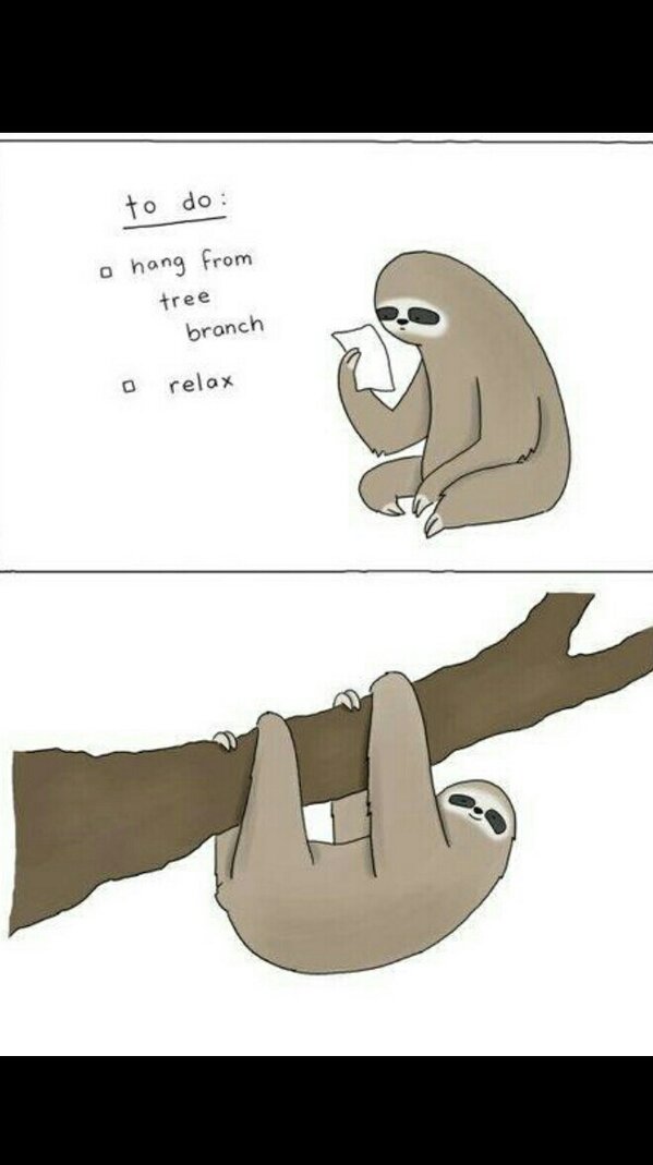 RatchetSloth's tweet photo. #MyLifeBeLike http://t.co/Hmd4zFCeD6